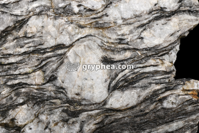 Oeil de feldspath orthose dans un gneiss - détail - gryphea.com